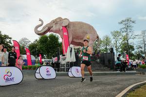 BIB: 
                            <button type="button" onclick="openModal(26529024)" class="btn btn-primary btn-sm float-right btn-popup" data-toggle="modal" data-target=".modal-high-quality">
                        <i class="fas fa-shopping-cart"></i> Add to Cart
                    </button>
                                            <button type="button" onclick="isThisMe(26529024, true)" class="btn btn-success btn-sm float-right btn-popup btn-isme hidden" data-toggle="tooltip" data-placement="bottom" title="นี่คือรูปของคุณใช่ไหม คลิกที่นี่เพื่อเอาเข้าอัลบั้ม">
                        <i class="fas fa-plus"></i> Add to album
                    </button>
                    <button type="button" onclick="isThisMe(26529024, false)" class="btn btn-warning btn-sm float-right btn-popup btn-isnotme hidden">
                        <i class="fas fa-ban"></i> Remove from album
                    </button>